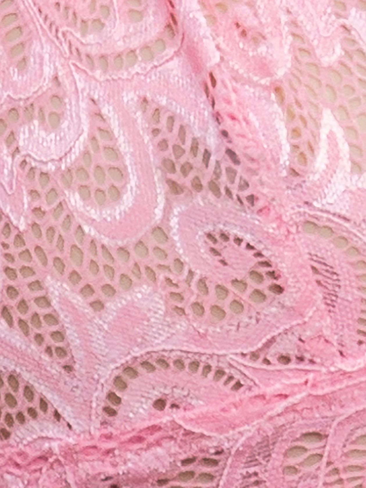 ברלט תחרה EVERYDAY