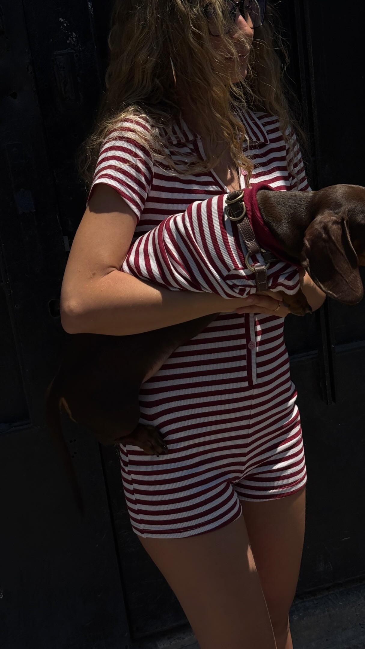 <p>Kinda chic if you ask us. 🐶</p>